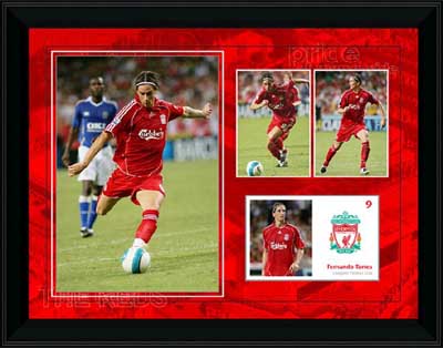 Unbranded Fernando Torres - Framed player profile presentation