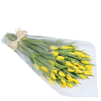 Unbranded Fifty Yellow Tulips - flowers