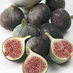 Unbranded Fig Violetta
