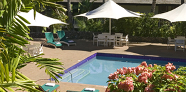 Unbranded Fiji Mocambo