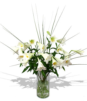 Unbranded Finest Bouquets - Casablanca Classic