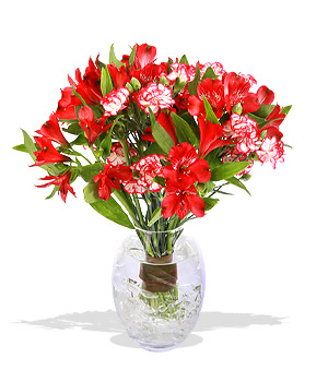 Unbranded Finest Bouquets - Christmas Cheer