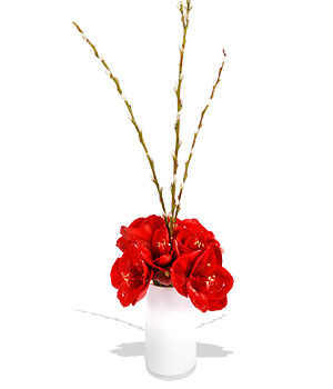 Unbranded Finest Bouquets - Comet