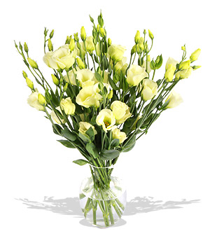 Unbranded Finest Bouquets - Cream Tea