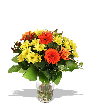 Citrus Splash Your Recommended Daily Allowance of zingy orange gerberas lemony daisies tangerine ros