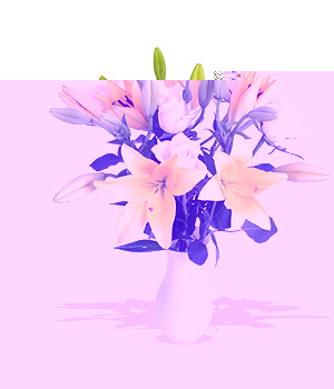 Unbranded Finest Bouquets - Lemonade - c