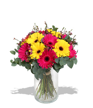 Girls just wanna have fun Your hair is high; your jeans theyre tight The writings on the wall tonigh