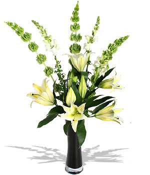 Rhyme and reason Hey diddle diddle this catch ain