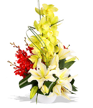 Unbranded Finest Bouquets - Orchid Orchestra