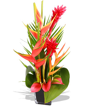 Unbranded Finest Bouquets - Paradise Parade