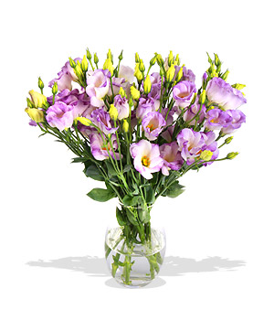 Unbranded Finest Bouquets - Pastel Impression