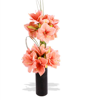Unbranded Finest Bouquets - Peach Melba