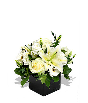 Unbranded Finest Bouquets - Pearly White