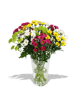 10 out of 10! Top marks for this cheerful bouquet. Playful green froggy mums hop through long-lastin
