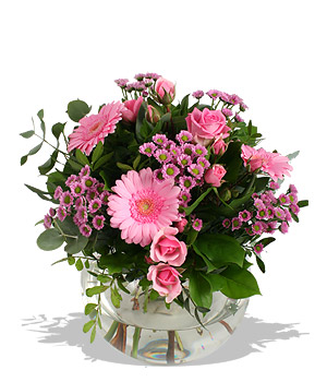 In The Pink 100 unadulterated pink pleasure. Pretty pink roses play patty-cake with pink gerbera dai