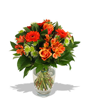 Unbranded Finest Bouquets - Pompeii