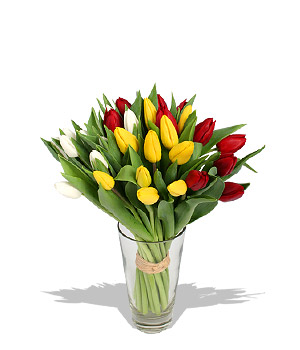 Paramaribo pleasure zone A wild blend of Dutch courage and South American style in this box of 30 gr