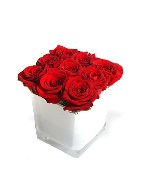 Unbranded Finest Bouquets - Red Roses - white cube