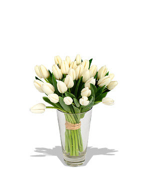 Rhapsody in white Mmmm baby 