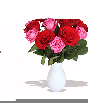 Unbranded Finest Bouquets - Scarlet OHara - c