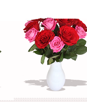 Unbranded Finest Bouquets - Scarlet OHara - c