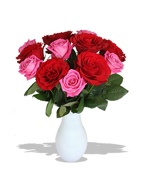 Unbranded Finest Bouquets - Scarlet OHara