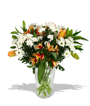 Daisy Daisy give me your answer do There will be no he loves me he loves me not` with this bouquet o