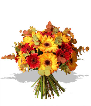 Unbranded Finest Bouquets - Shades of Autumn