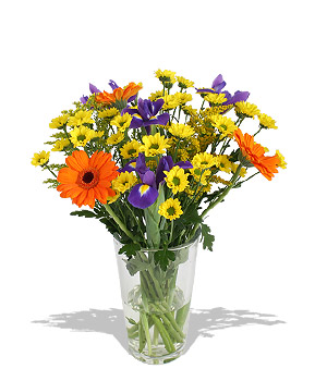 Shhhh! Flowers speak louder than words. And this cheerful meadow bouquet of iris orange gerbera dais