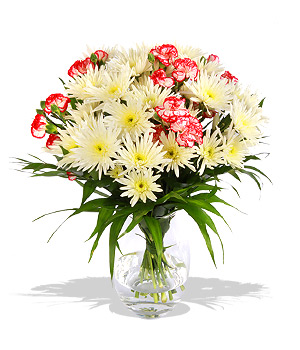 Unbranded Finest Bouquets - Space Cadet