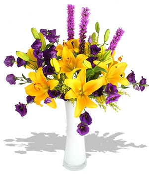 Unbranded Finest Bouquets - Sugar Hill - Grandissimo