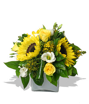 Unbranded Finest Bouquets - Summer Sorbet