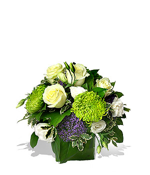 Close your eyes and remember Perfect white roses and giant chrysanthemums stylishly combined in an a