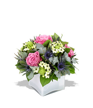 Take me down to the babbling brook Cool water roses trickle a lavender softness over a stepping-ston