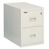 Fireproof 2 Drawer Filing Cabinet Platinum 22 Inch