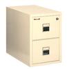 Fireproof 2 Drawer Filing Cabinet Platinum 25 Inch