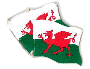 Flag - Welsh Dragon - Polyester 5ftx3ft