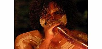 Unbranded Flames of the Forest - Rainforest Dining