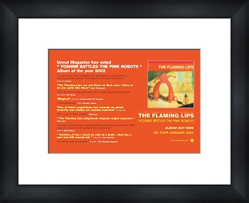 Unbranded FLAMING LIPS