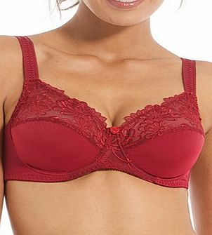 Unbranded Flattering Underwired Embroidered Tulle Bra