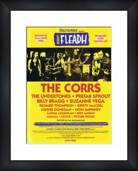 Unbranded FLEADH 2000