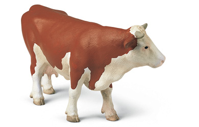 Unbranded Fleckvieh Cow