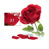 The perfect thing for a night of passion and fun, the flower of love will spice up your love life.