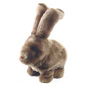 Irresistible animated bunny