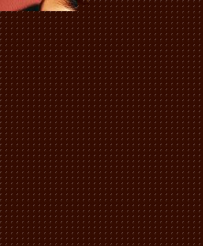 Florence Bra (Underwire- Padded)