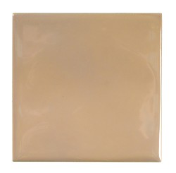 Unbranded Florentia Magnolia Wall Tile