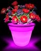 Unbranded Flower Power Led Plant Pot: As Seen