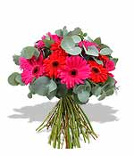 Flowers - Crystal Pinks