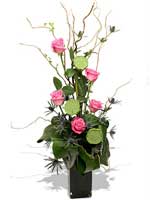 Flowers - Desert Rose