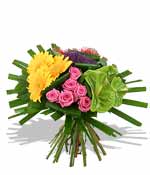 Flowers - Out of Africa